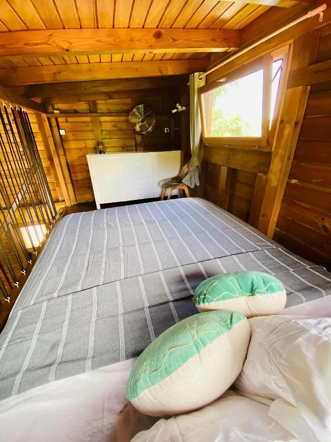 Banana Cottage Ecolodge & Spa لو جوسيير